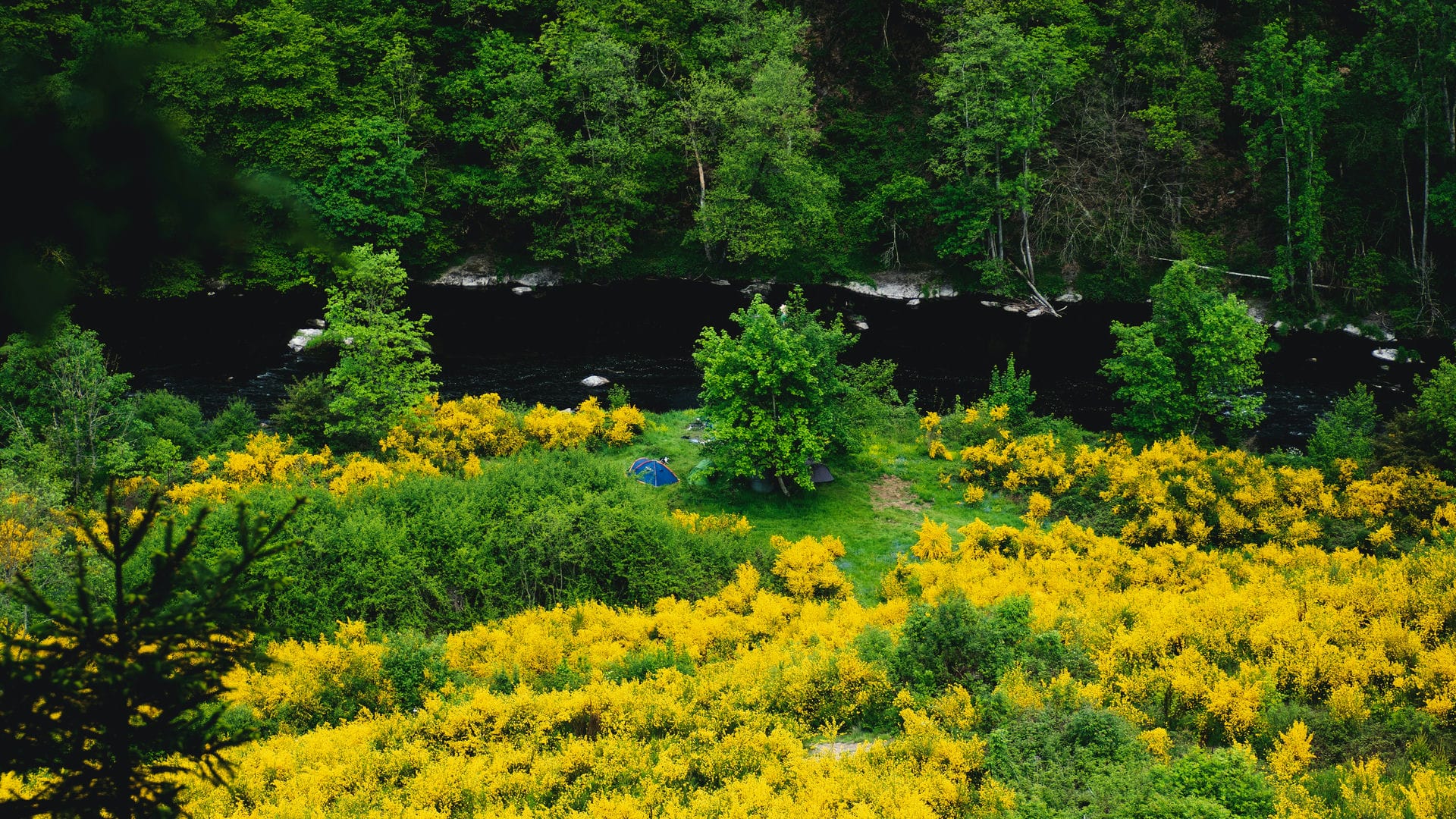 vakantiehuisjes ardennen